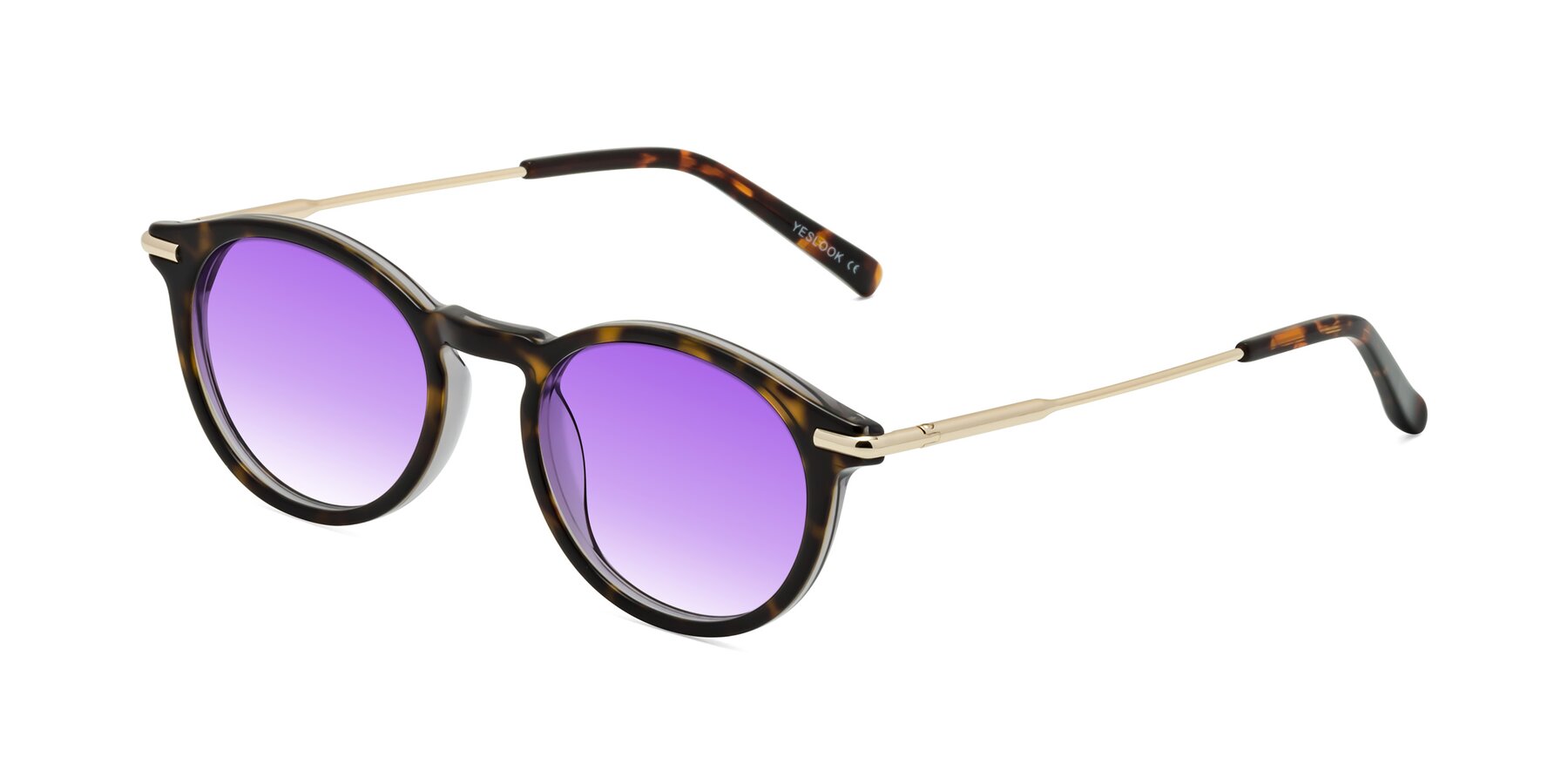 Angle of Gupta in Tortoise with Purple Gradient Lenses
