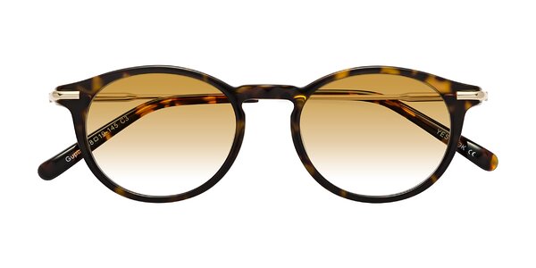 Front of Gupta in Tortoise