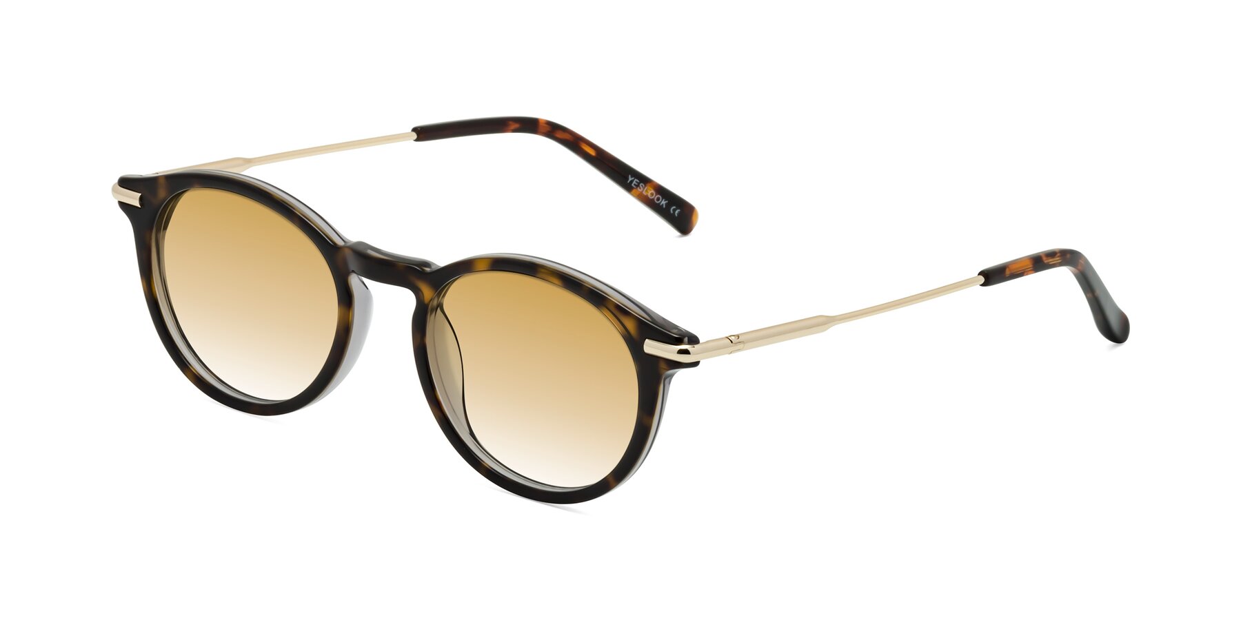 Angle of Gupta in Tortoise with Champagne Gradient Lenses
