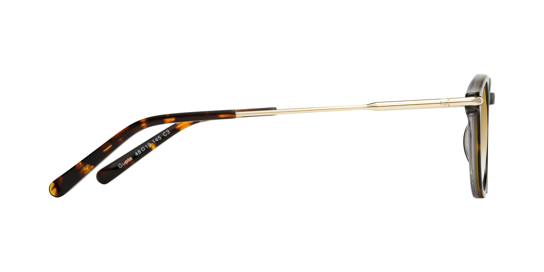 Side of Gupta in Tortoise with Champagne Gradient Lenses