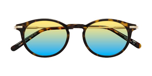 Front of Gupta in Tortoise