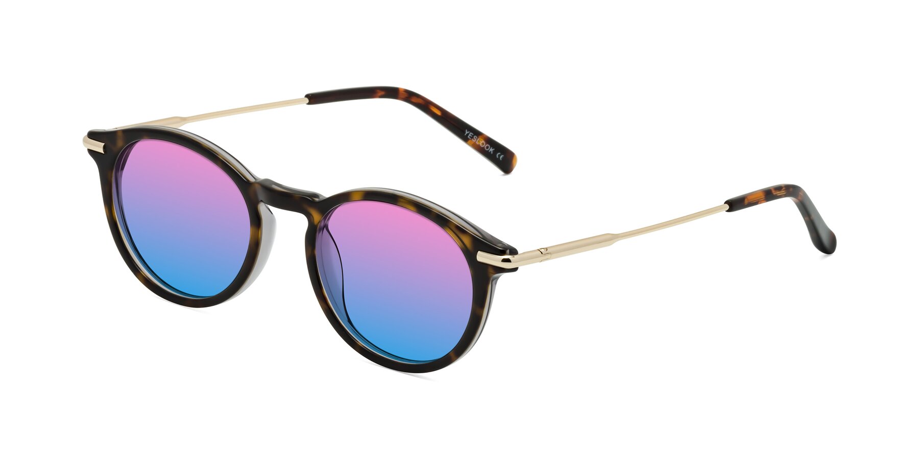 Angle of Gupta in Tortoise with Pink / Blue Gradient Lenses