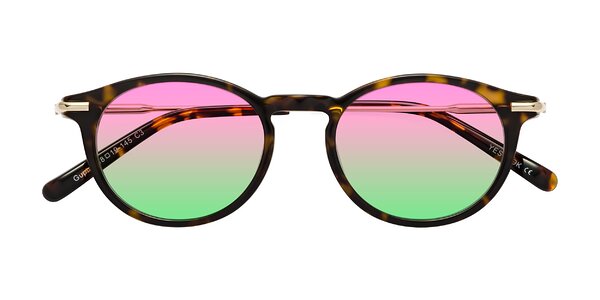 Front of Gupta in Tortoise