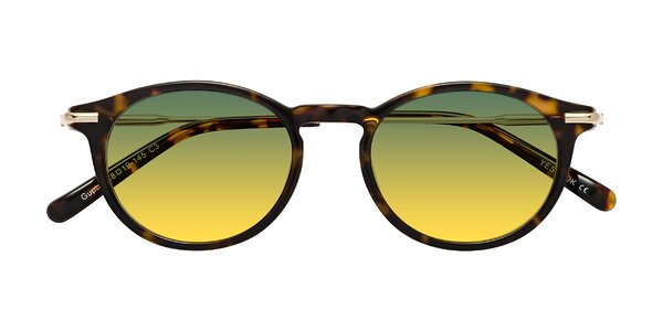 Front of Gupta in Tortoise