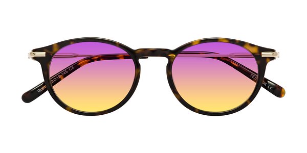 Front of Gupta in Tortoise