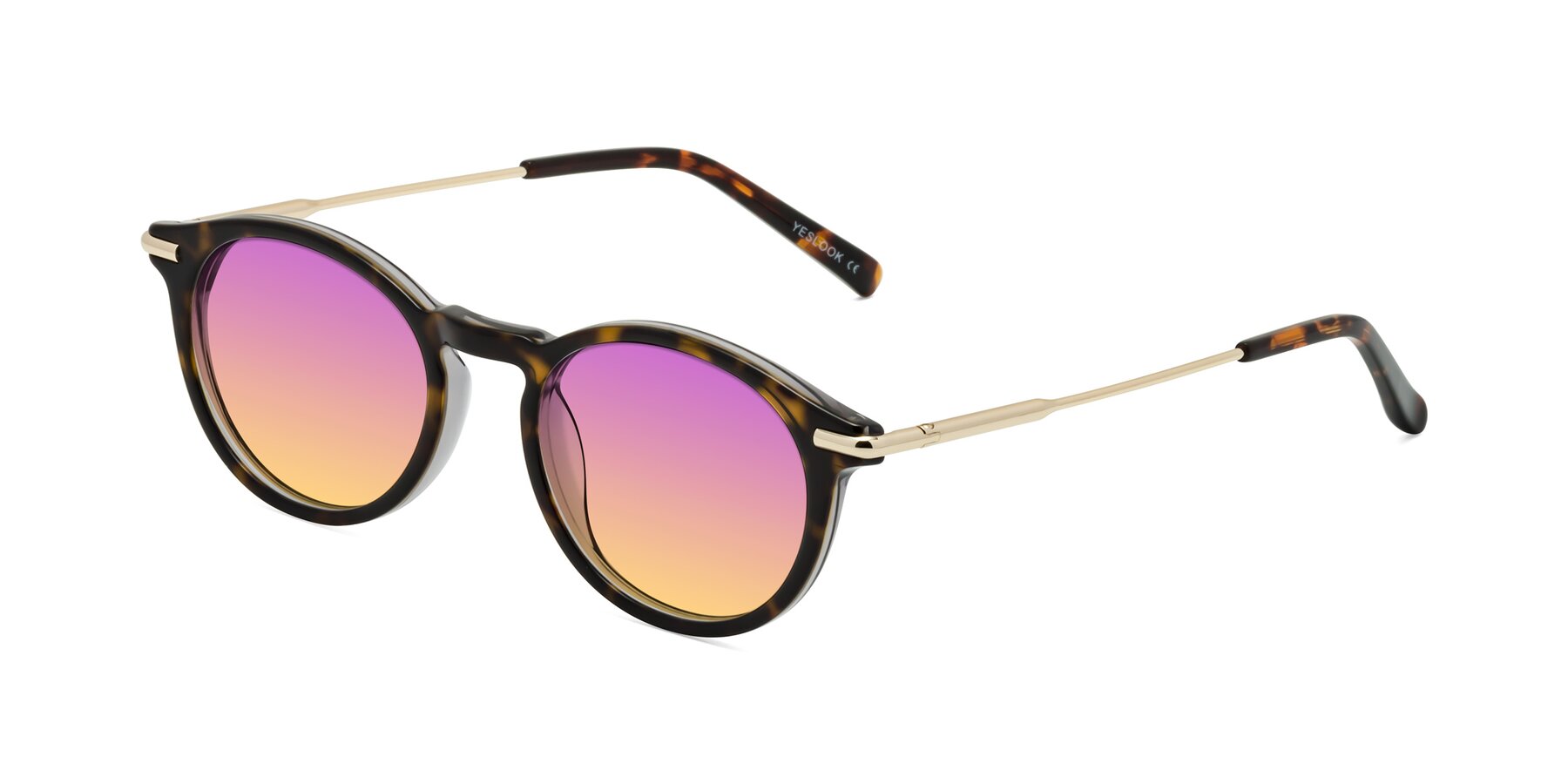 Angle of Gupta in Tortoise with Purple / Yellow Gradient Lenses