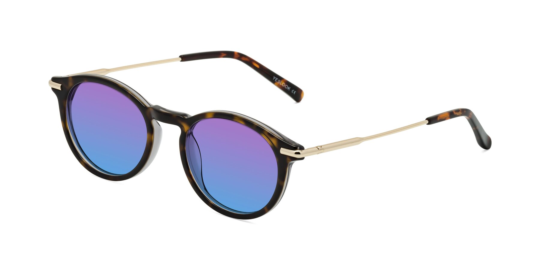 Angle of Gupta in Tortoise with Purple / Blue Gradient Lenses