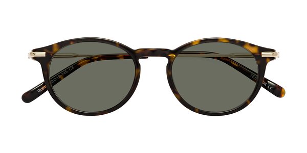 Front of Gupta in Tortoise