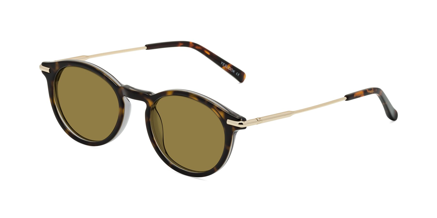 Angle of Gupta in Tortoise with Brown Polarized Lenses