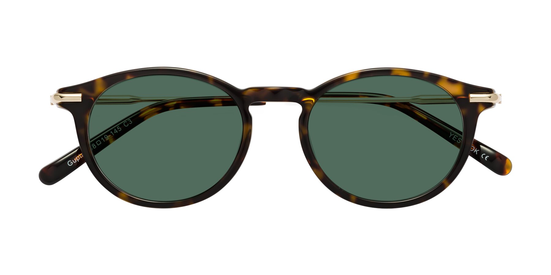 Folded Front of Gupta in Tortoise with Green Polarized Lenses