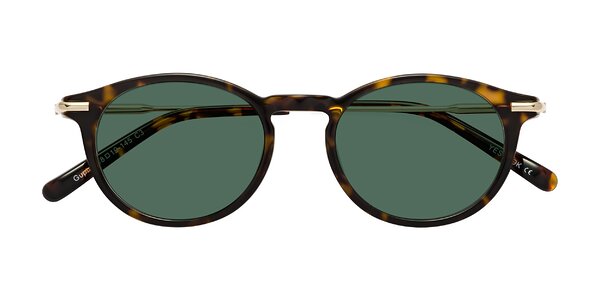 Front of Gupta in Tortoise