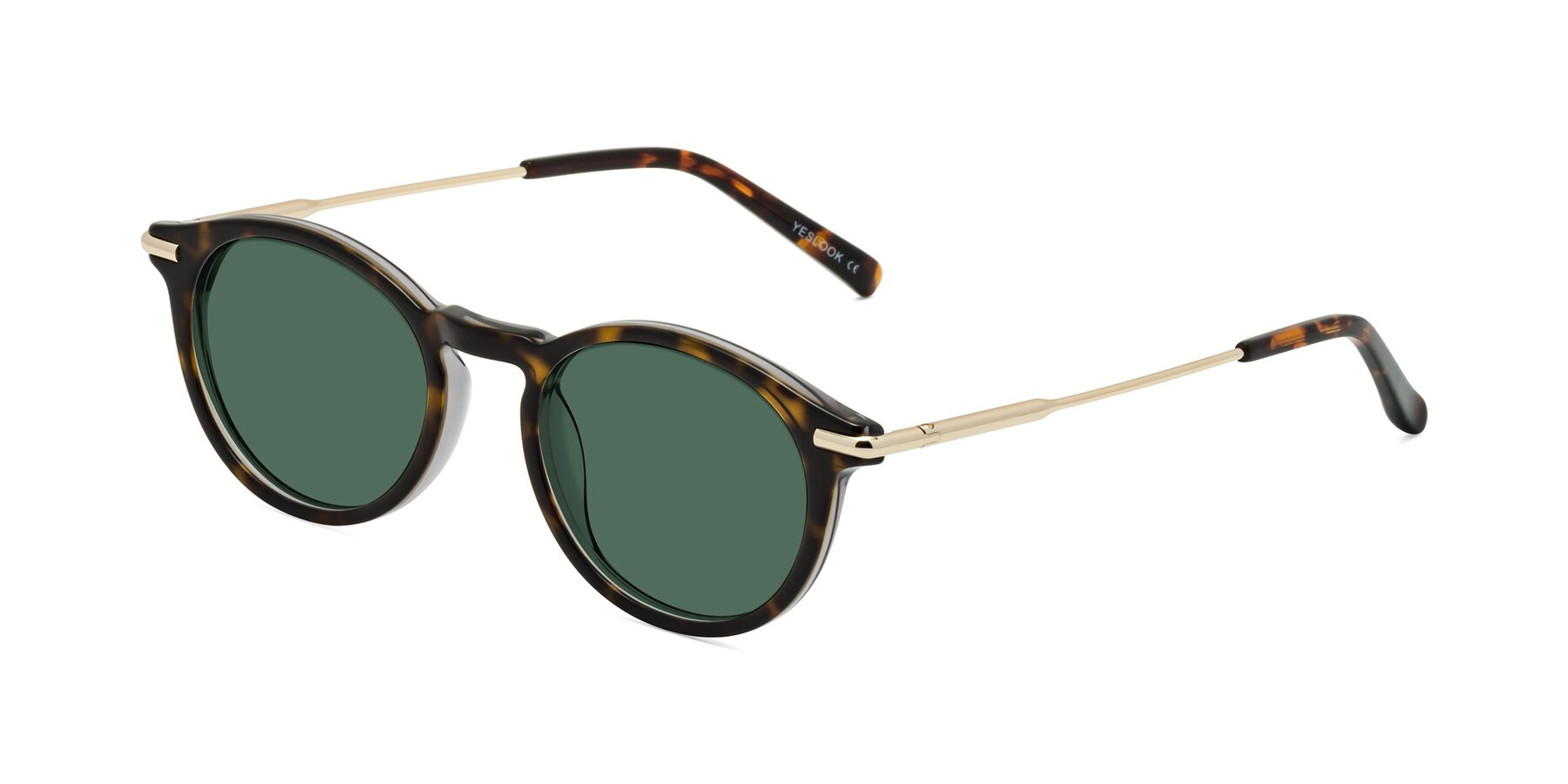Angle of Gupta in Tortoise with Green Polarized Lenses