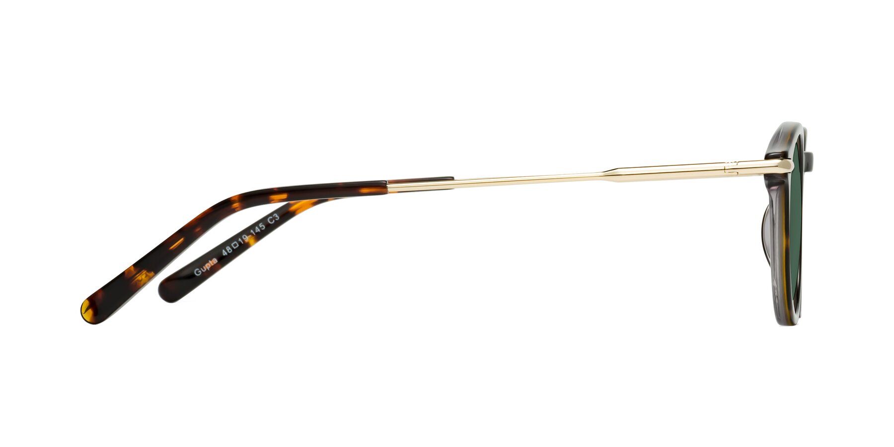 Side of Gupta in Tortoise with Green Polarized Lenses