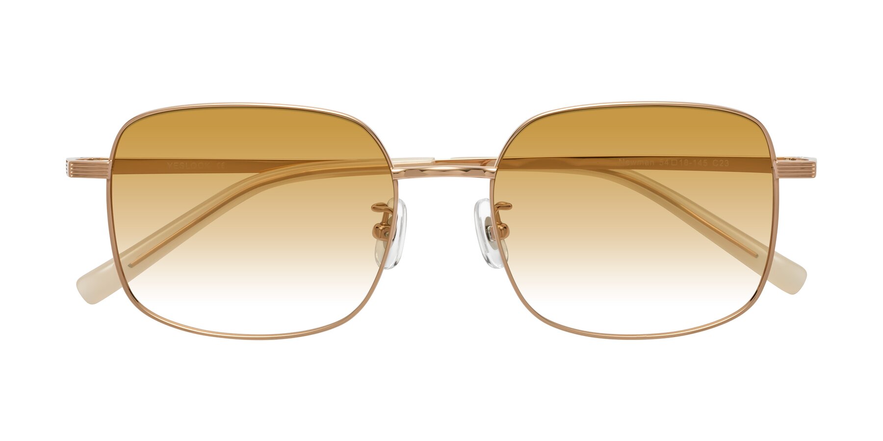 Folded Front of Newman in Rose Gold with Champagne Gradient Lenses
