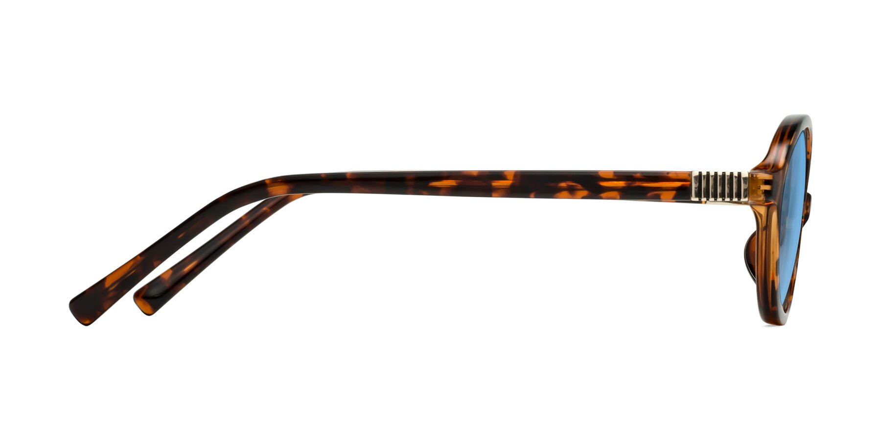Side of Ubell in Tortoise with Medium Blue Tinted Lenses