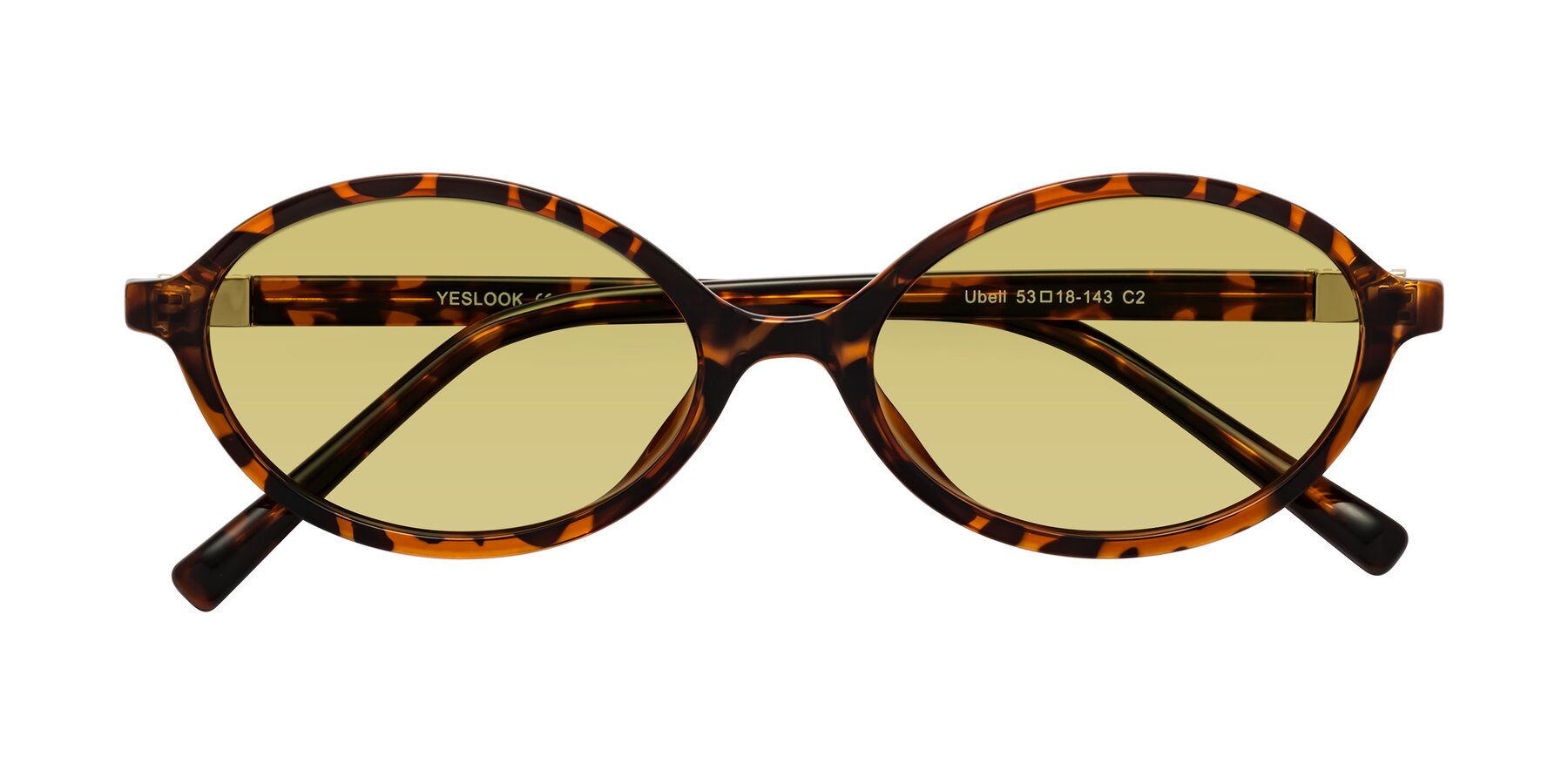 Folded Front of Ubell in Tortoise with Medium Champagne Tinted Lenses
