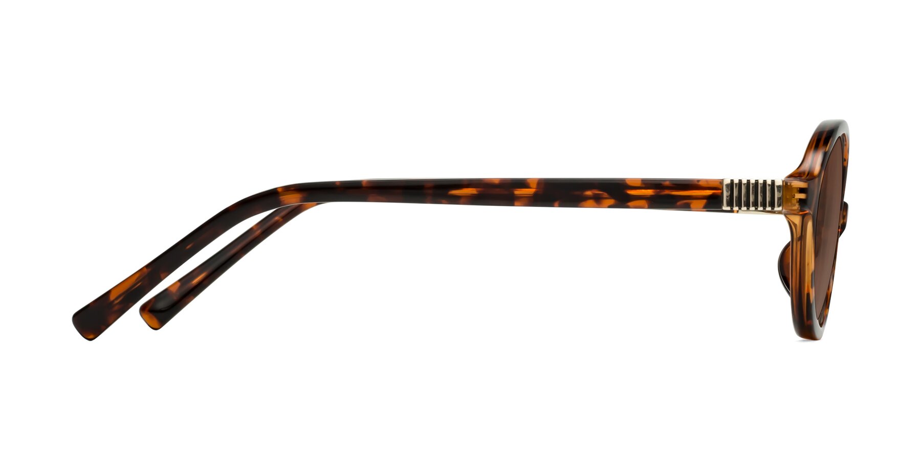 Side of Ubell in Tortoise with Brown Tinted Lenses
