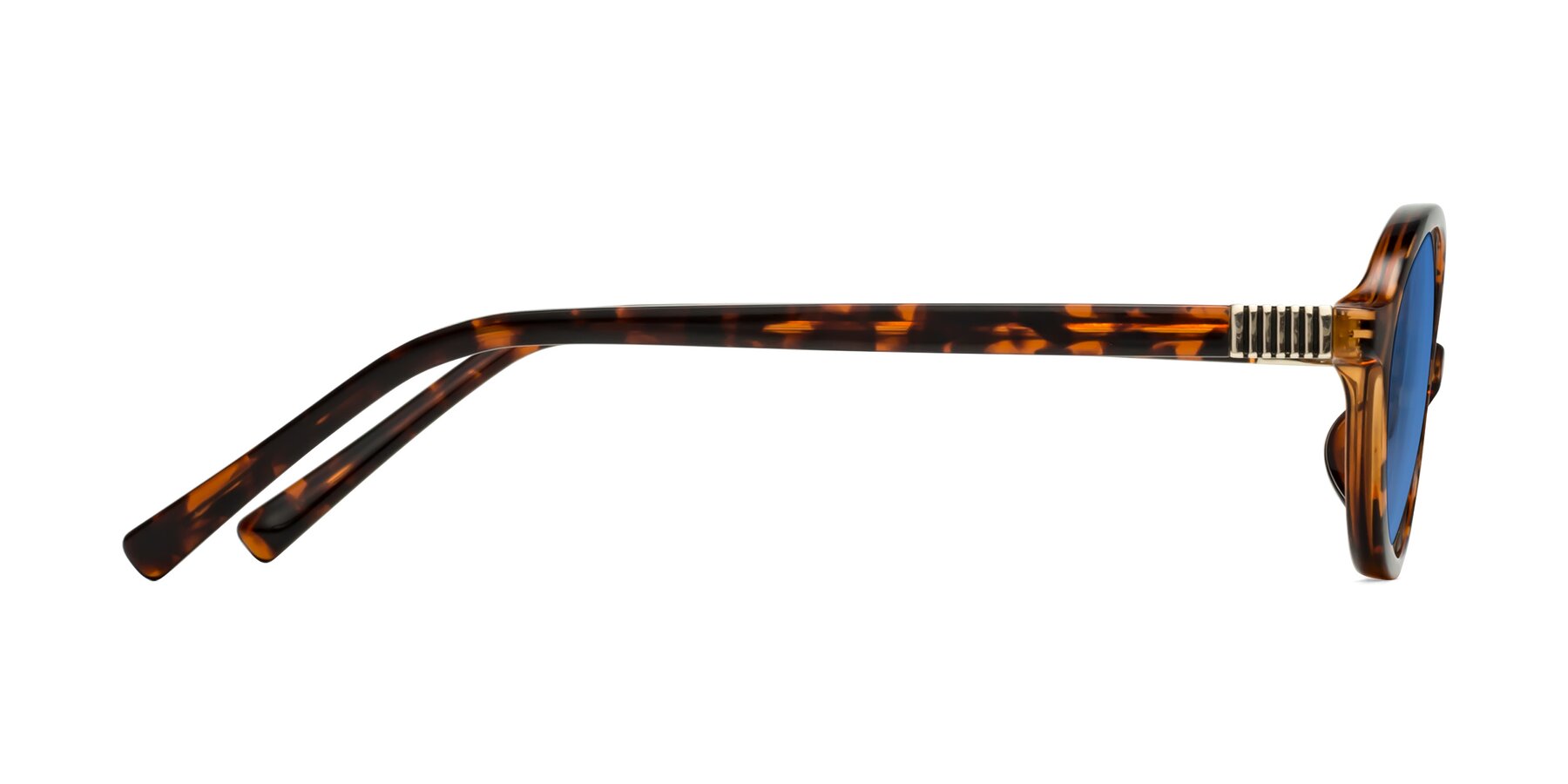 Side of Ubell in Tortoise with Blue Tinted Lenses