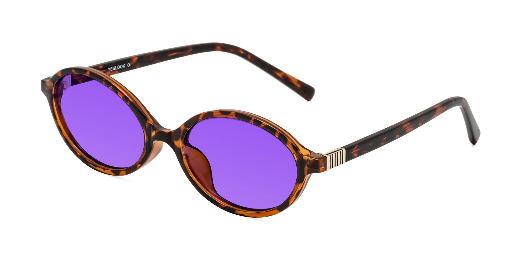 Angle of Ubell in Tortoise with Purple Tinted Lenses