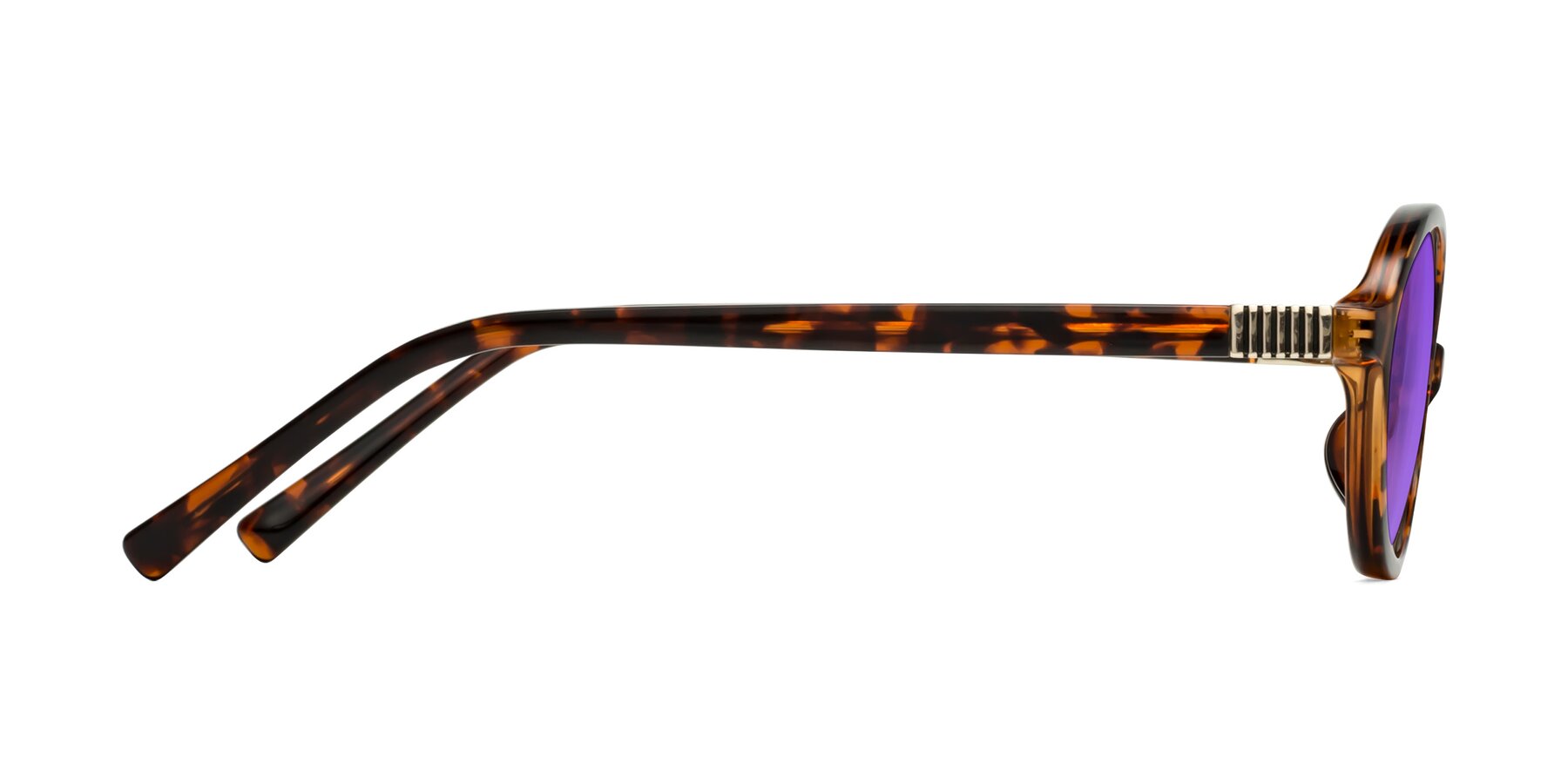 Side of Ubell in Tortoise with Purple Tinted Lenses