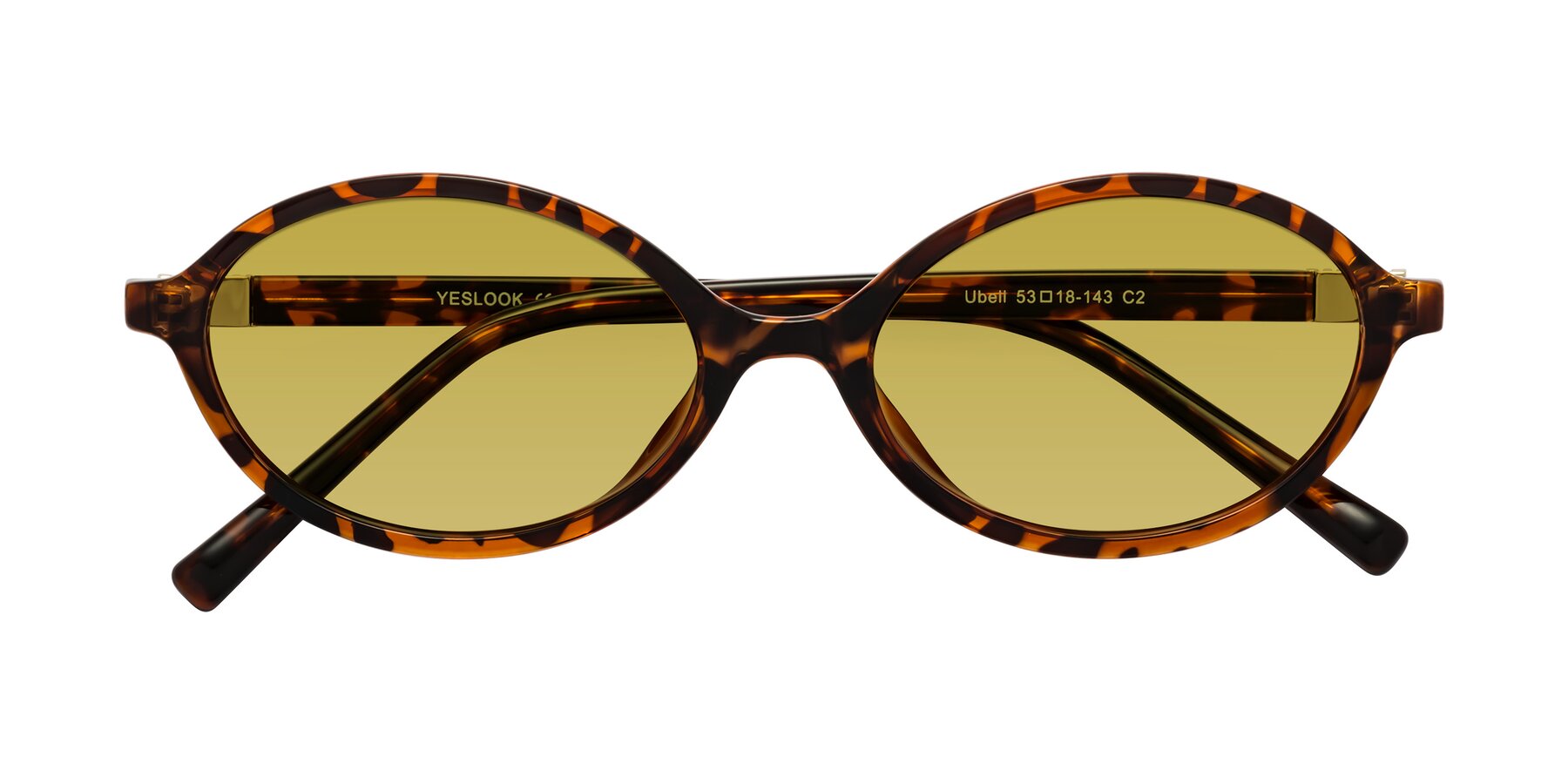 Folded Front of Ubell in Tortoise with Champagne Tinted Lenses