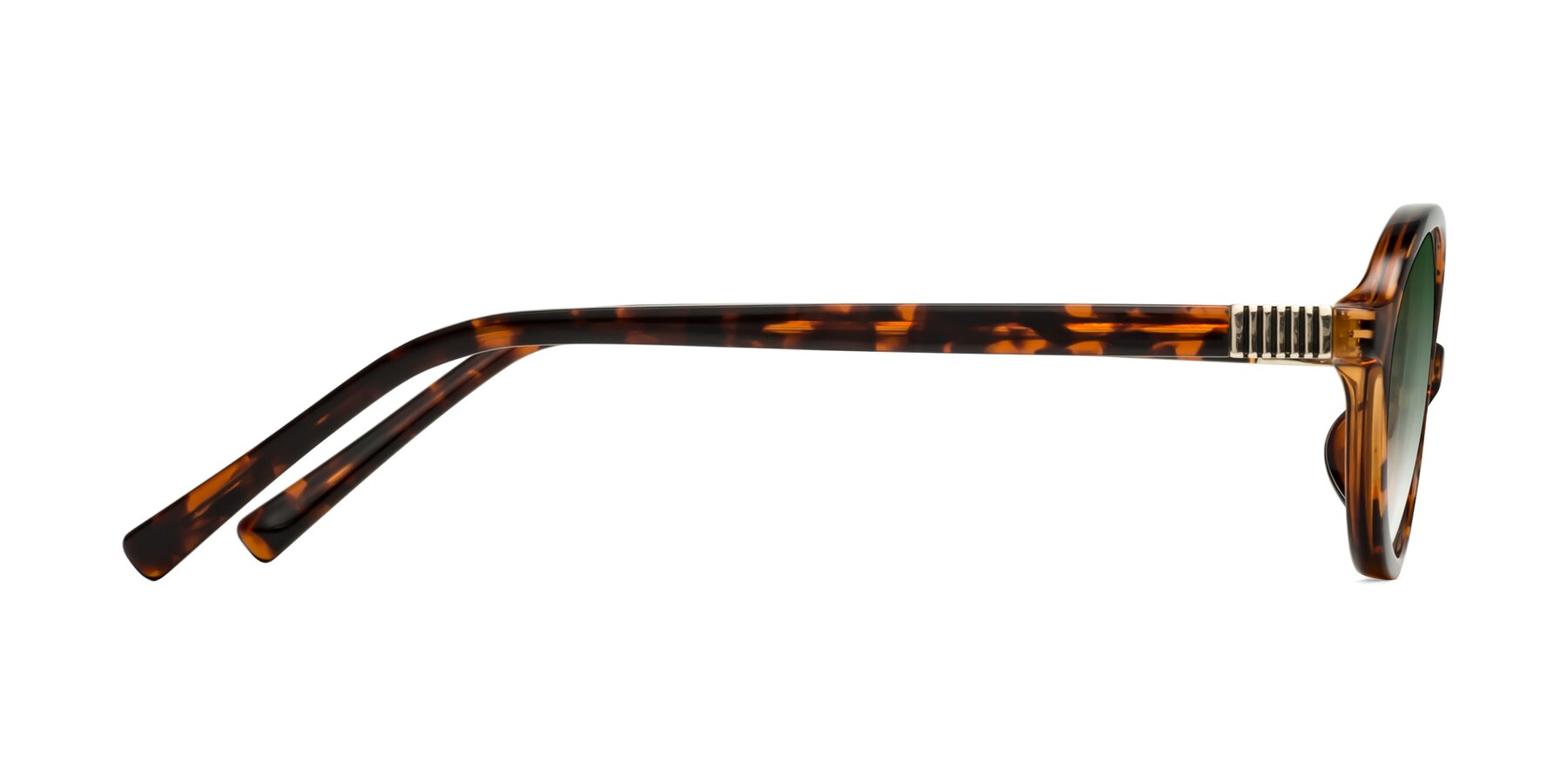 Side of Ubell in Tortoise with Green Gradient Lenses