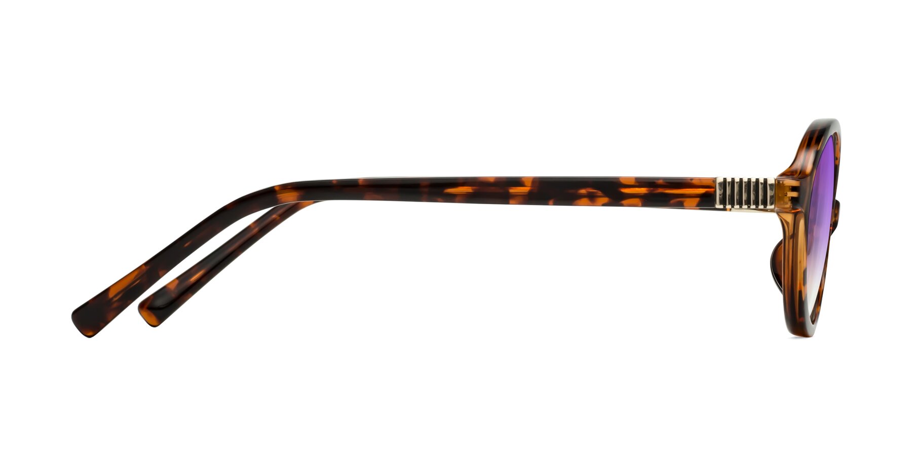 Side of Ubell in Tortoise with Purple Gradient Lenses