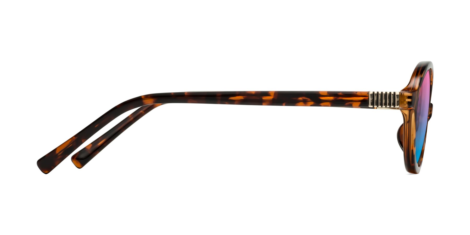 Side of Ubell in Tortoise with Pink / Blue Gradient Lenses