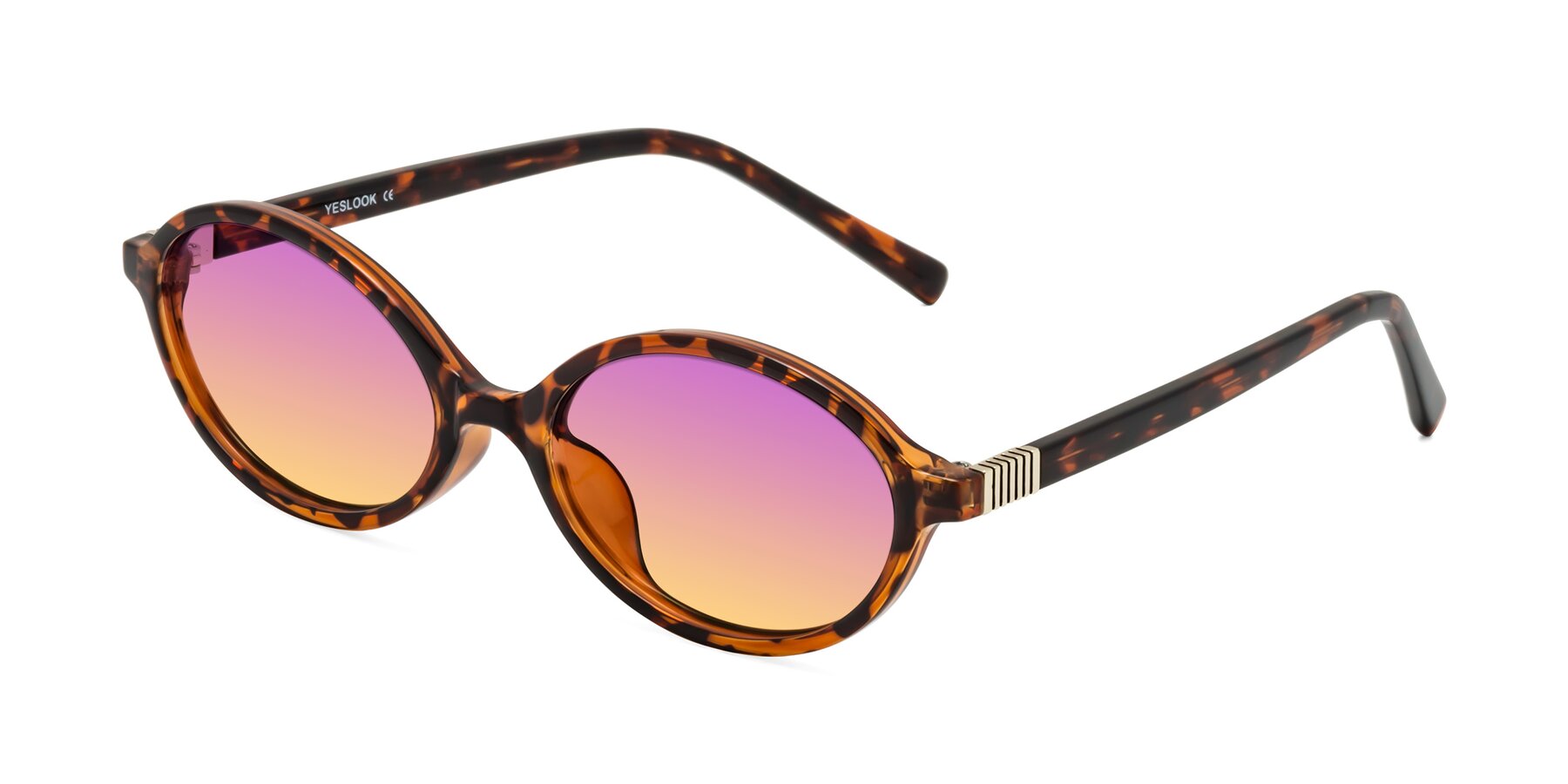 Angle of Ubell in Tortoise with Purple / Yellow Gradient Lenses