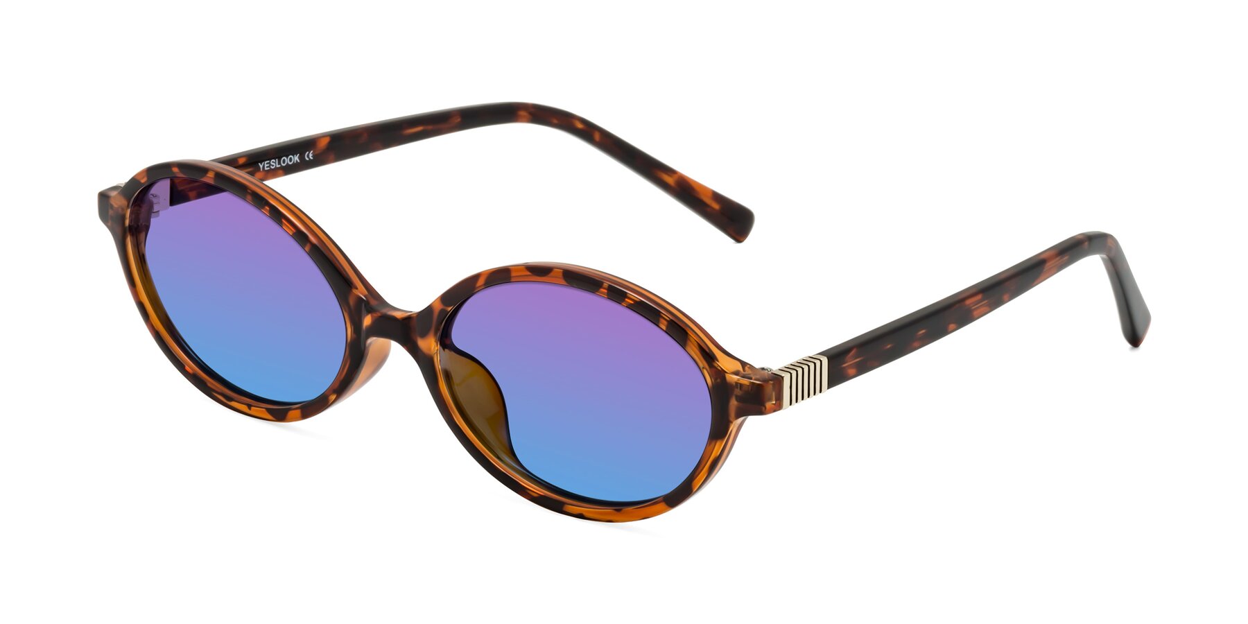 Angle of Ubell in Tortoise with Purple / Blue Gradient Lenses