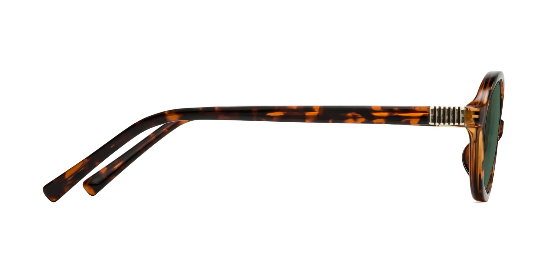 Side of Ubell in Tortoise with Green Polarized Lenses