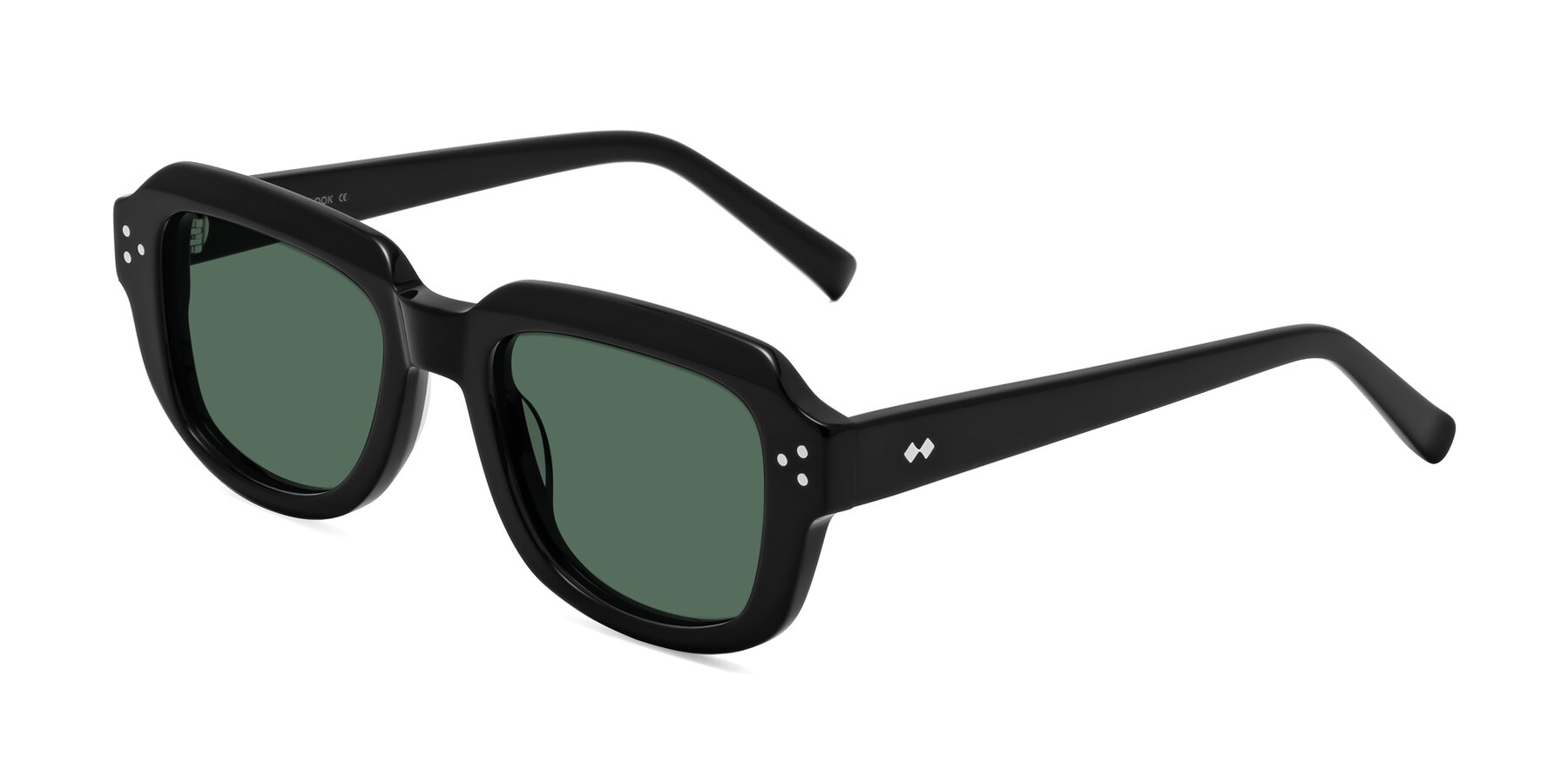 Angle of Bruges in Black with Green Polarized Lenses