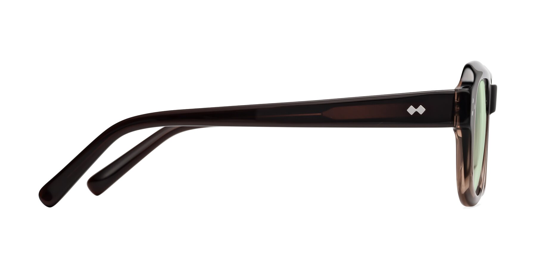 Side of Bruges in Gradient Brown with Light Green Tinted Lenses