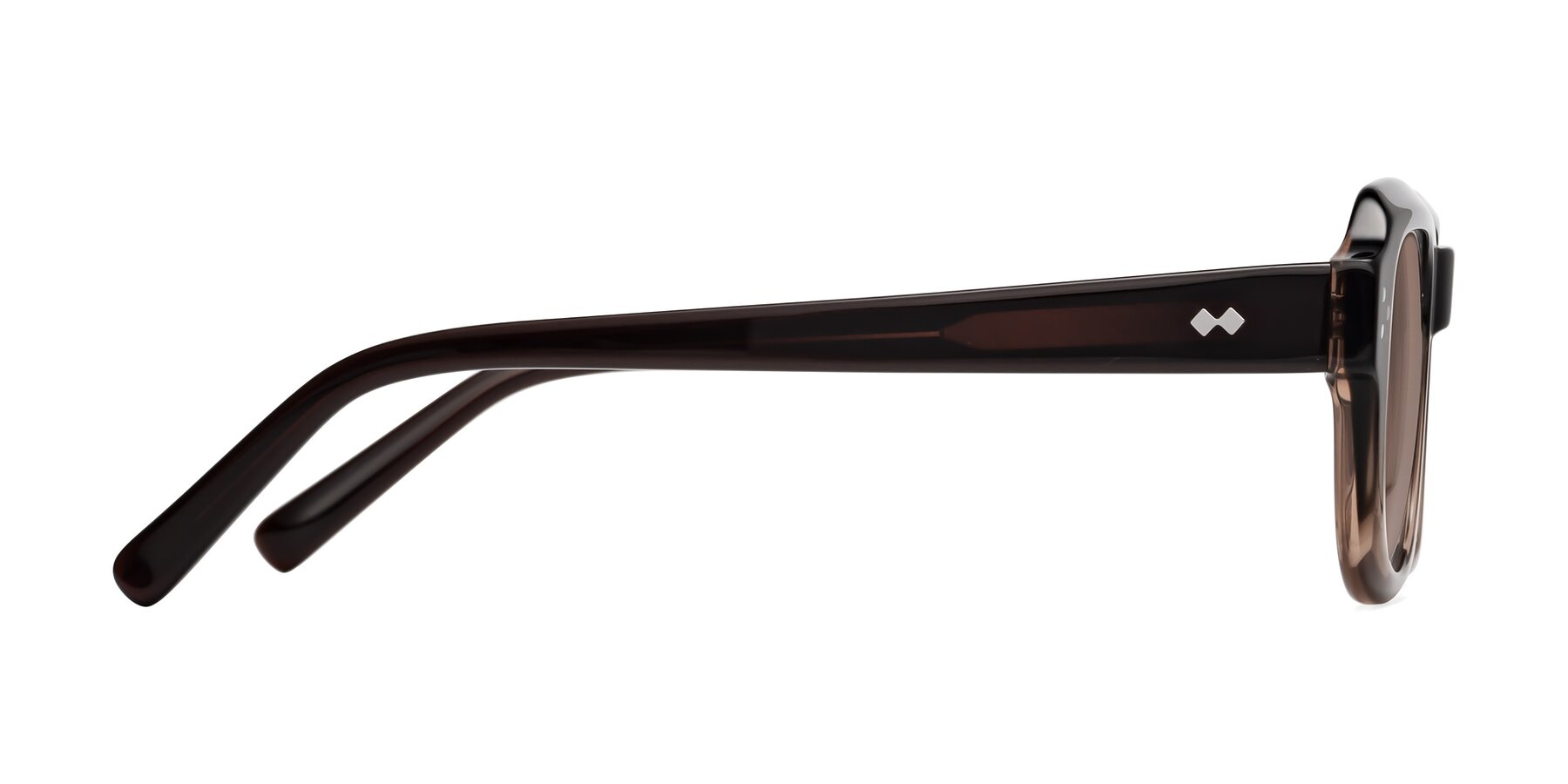 Side of Bruges in Gradient Brown with Medium Brown Tinted Lenses