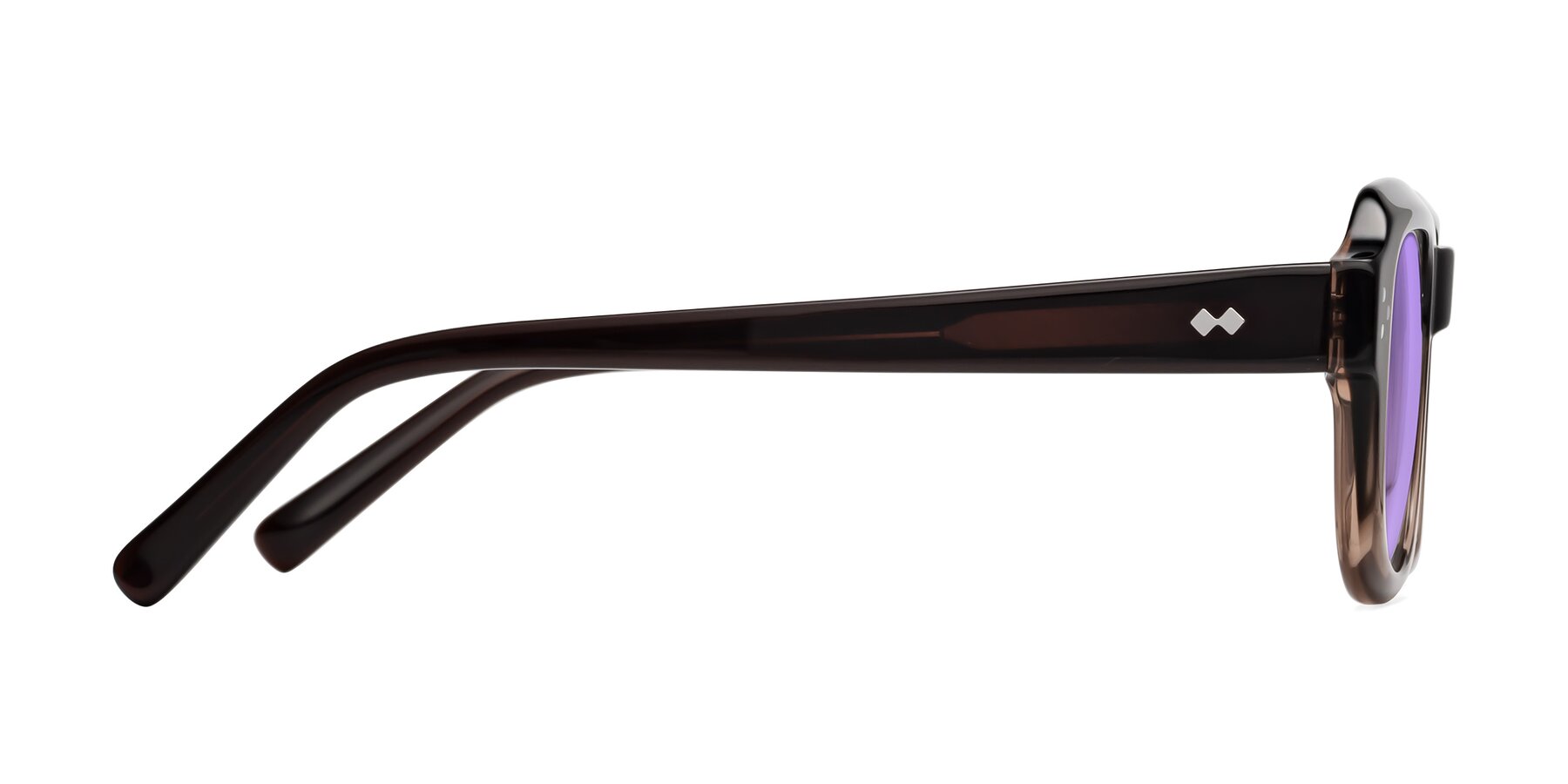 Side of Bruges in Gradient Brown with Medium Purple Tinted Lenses