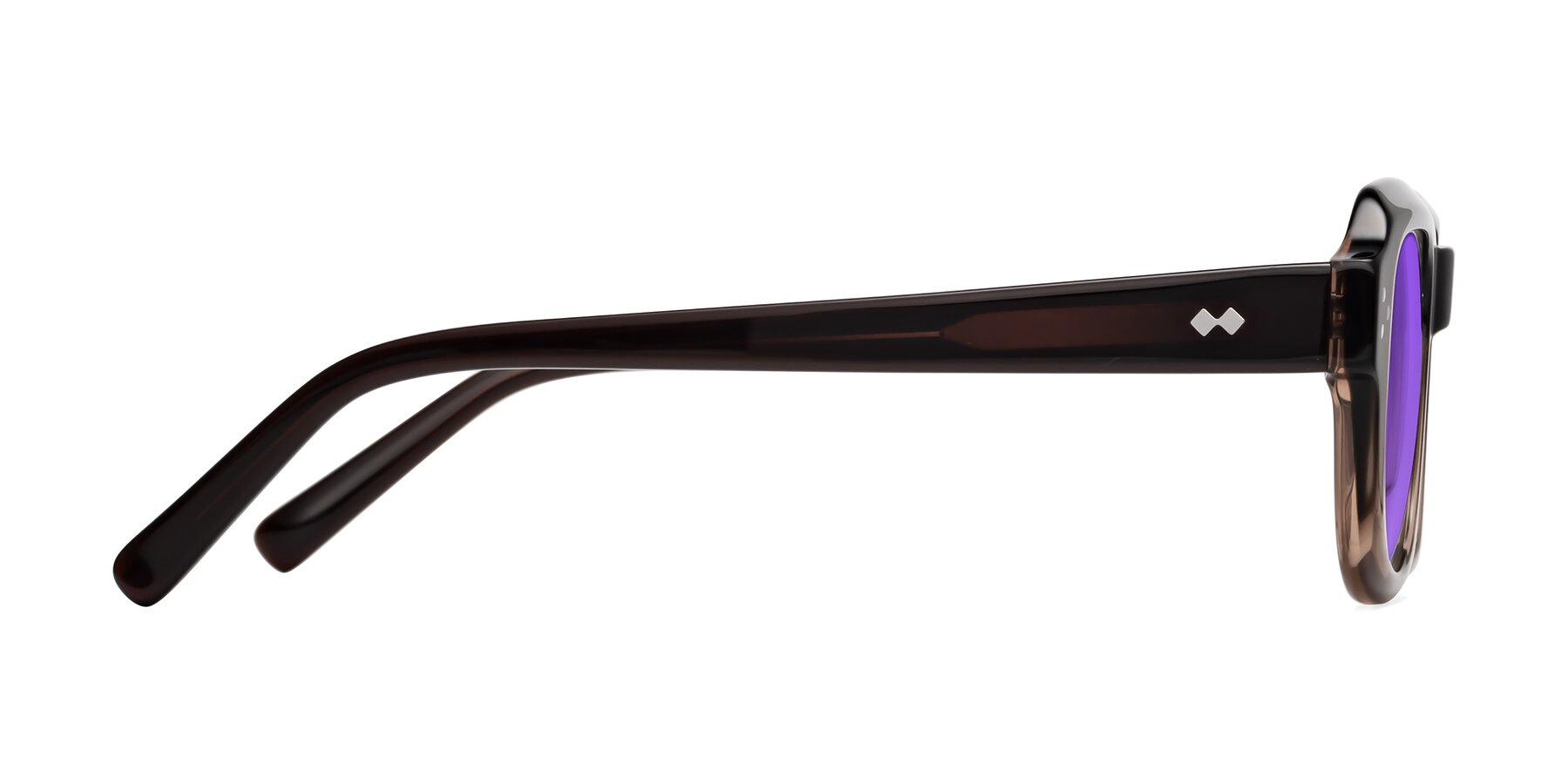 Side of Bruges in Gradient Brown with Purple Tinted Lenses