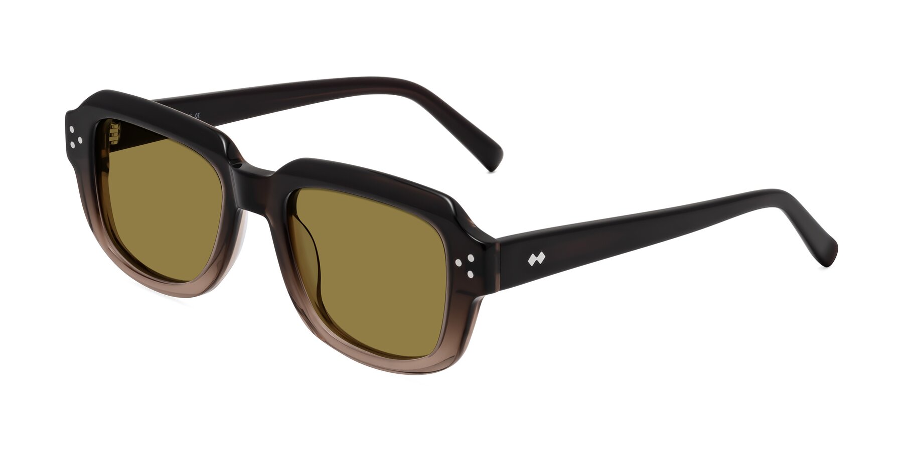Angle of Bruges in Gradient Brown with Brown Polarized Lenses