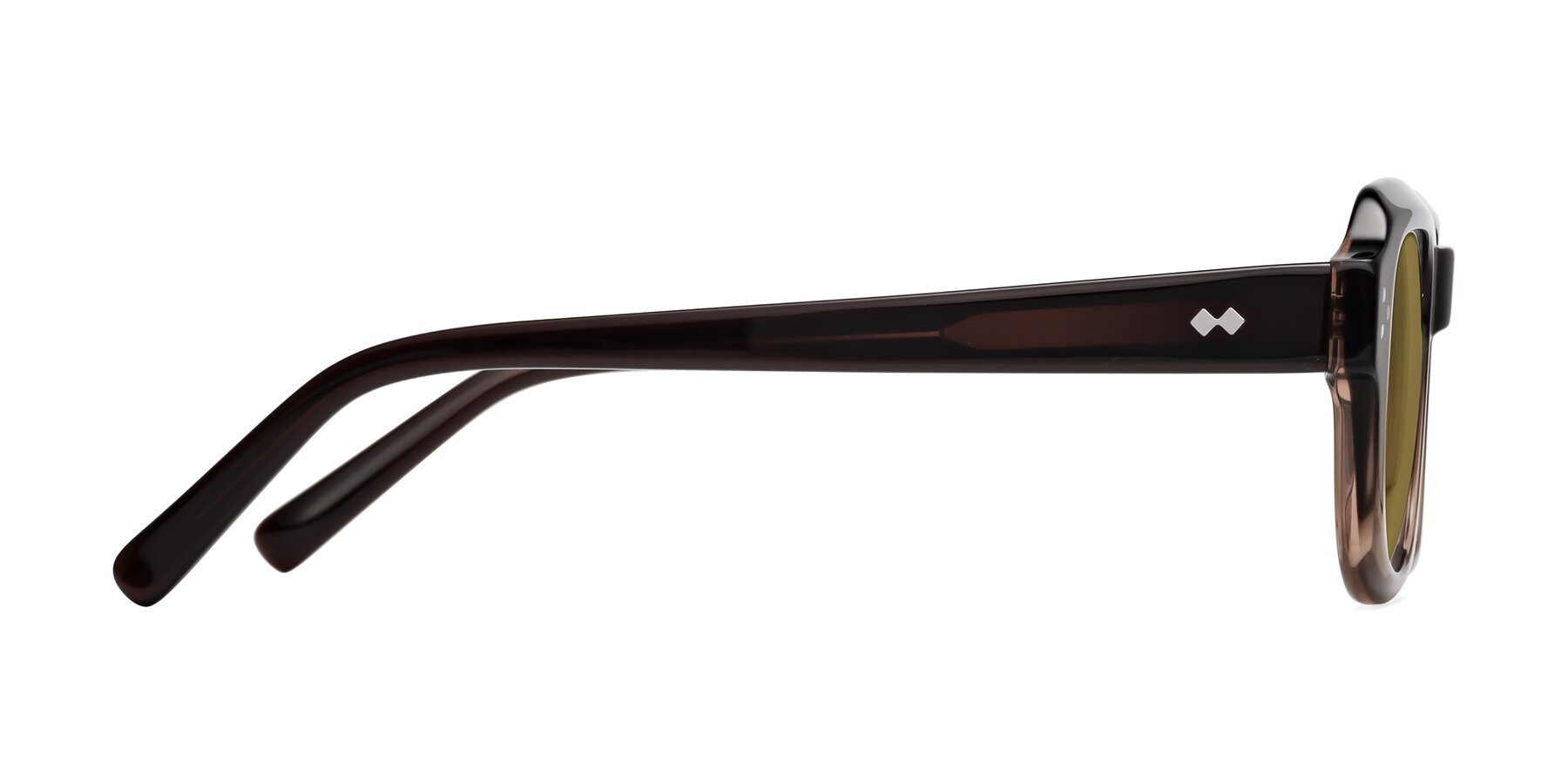 Side of Bruges in Gradient Brown with Brown Polarized Lenses