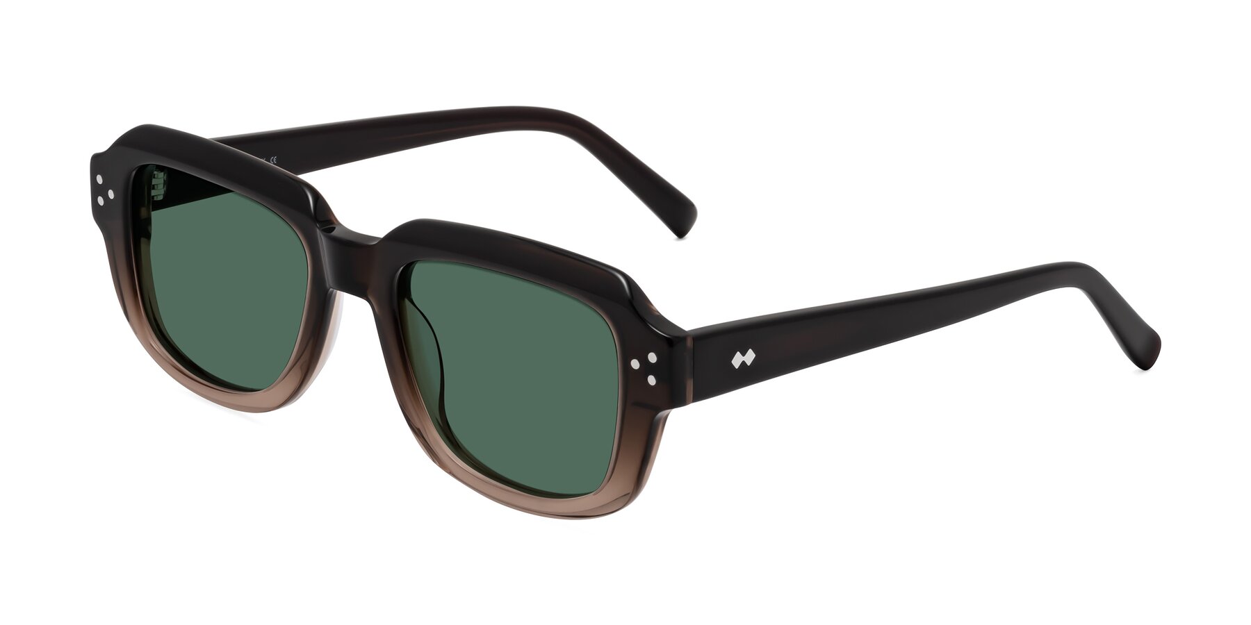 Angle of Bruges in Gradient Brown with Green Polarized Lenses