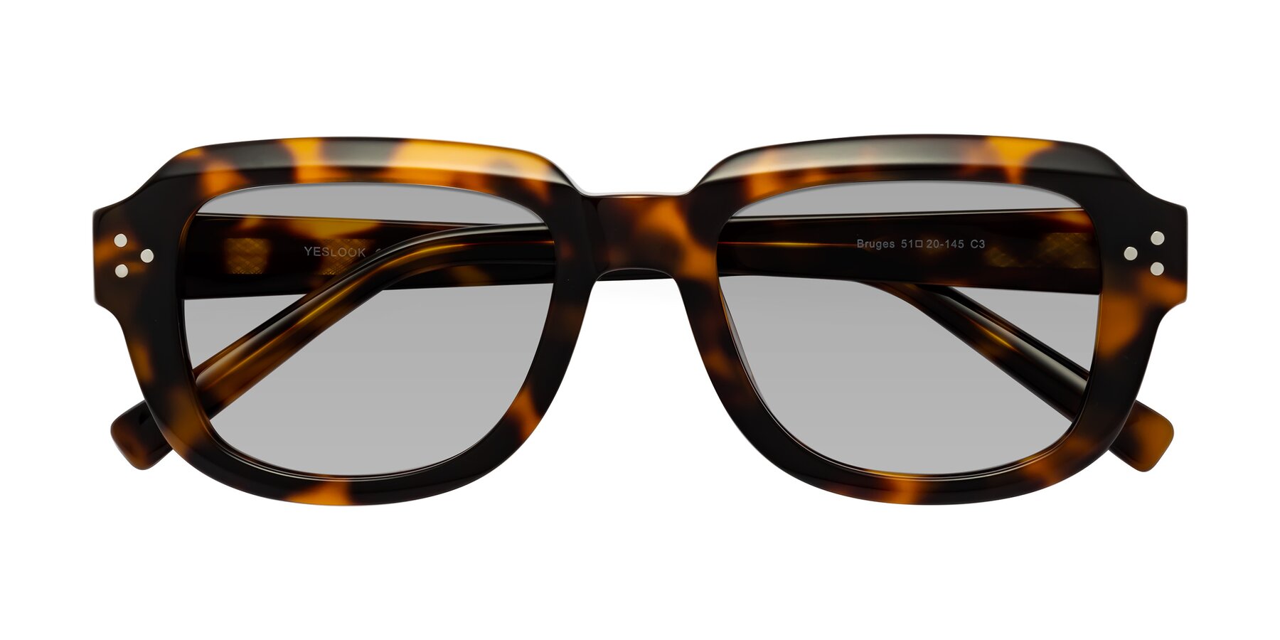 Folded Front of Bruges in Tortoise with Light Gray Tinted Lenses