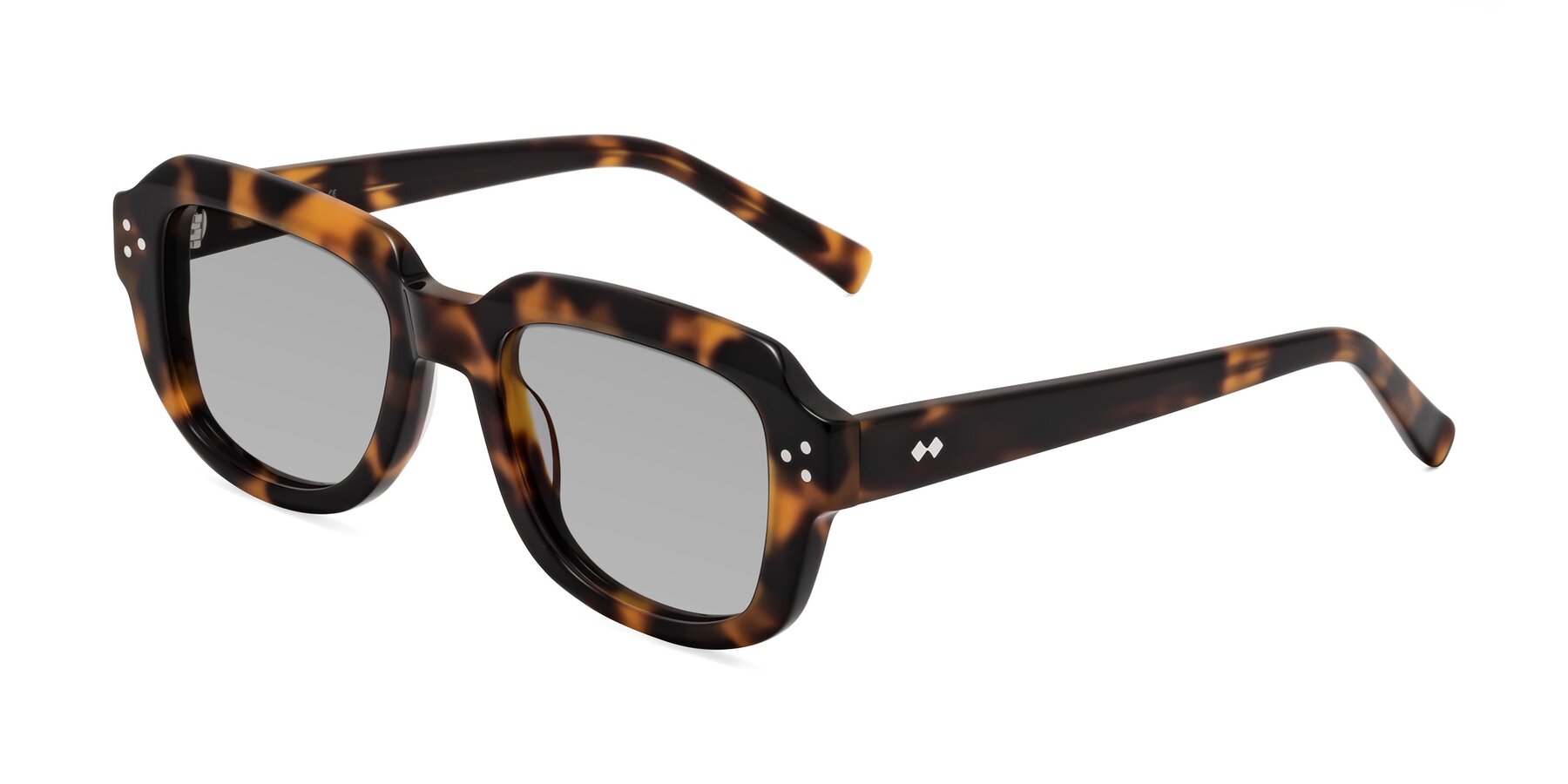 Angle of Bruges in Tortoise with Light Gray Tinted Lenses