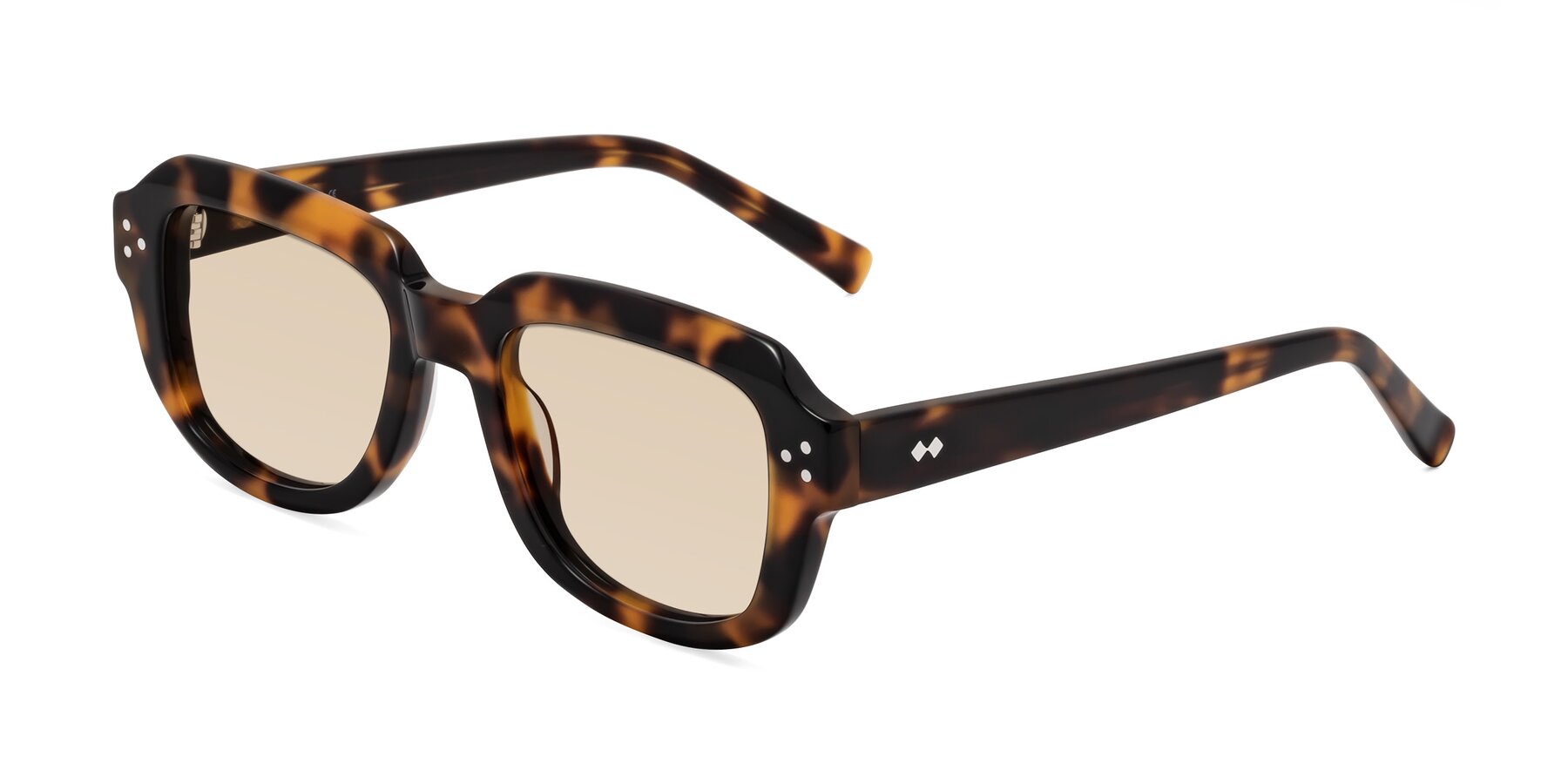 Angle of Bruges in Tortoise with Light Brown Tinted Lenses