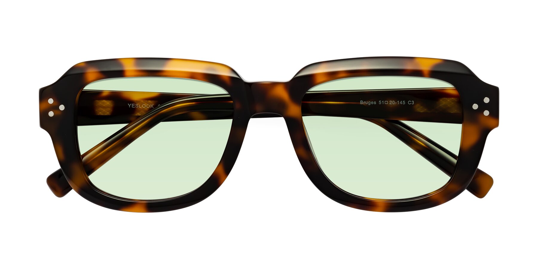 Folded Front of Bruges in Tortoise with Light Green Tinted Lenses