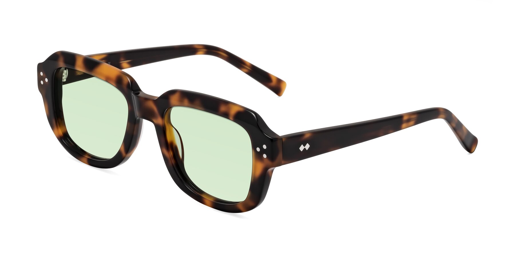 Angle of Bruges in Tortoise with Light Green Tinted Lenses
