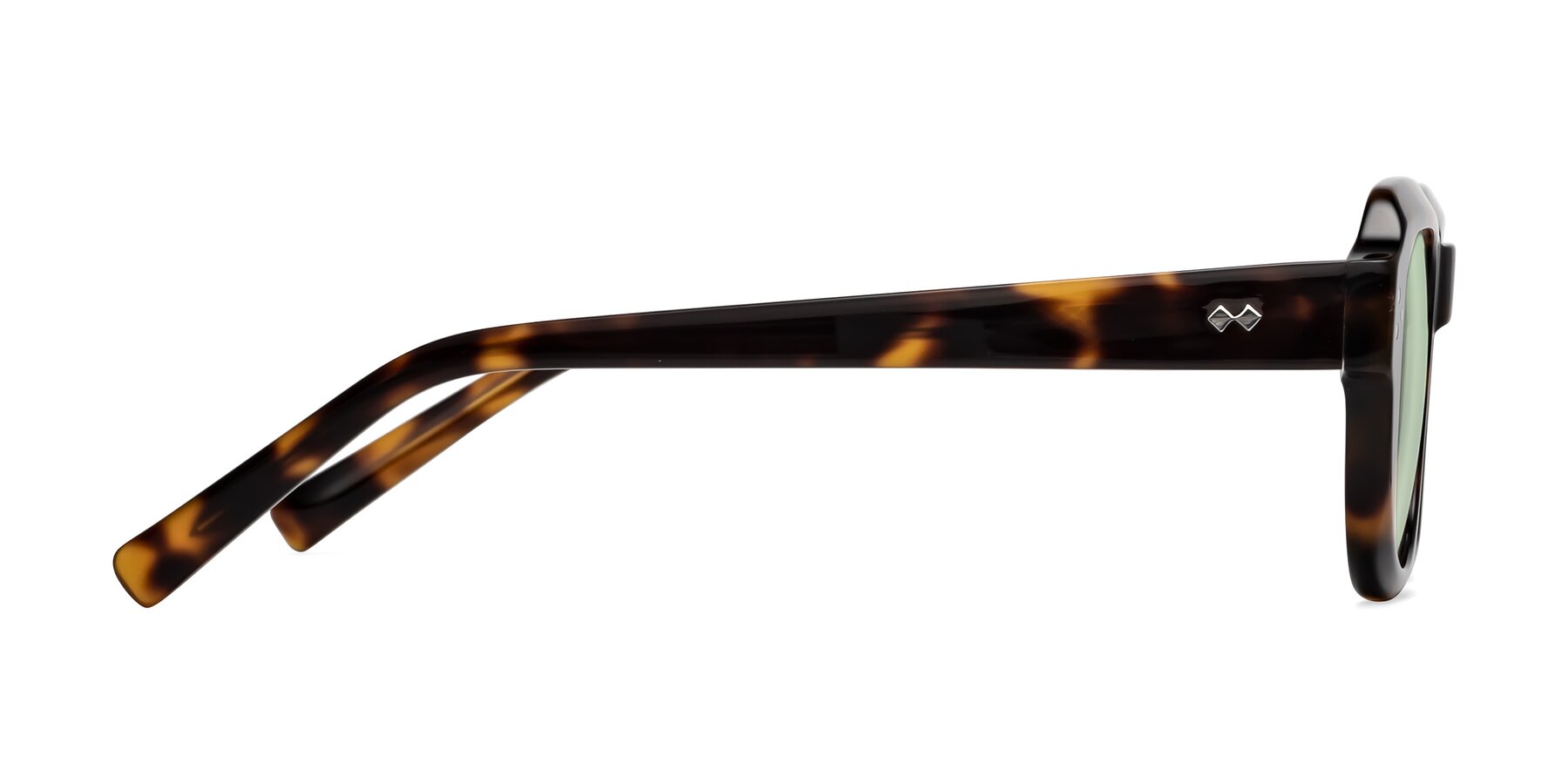 Side of Bruges in Tortoise with Light Green Tinted Lenses