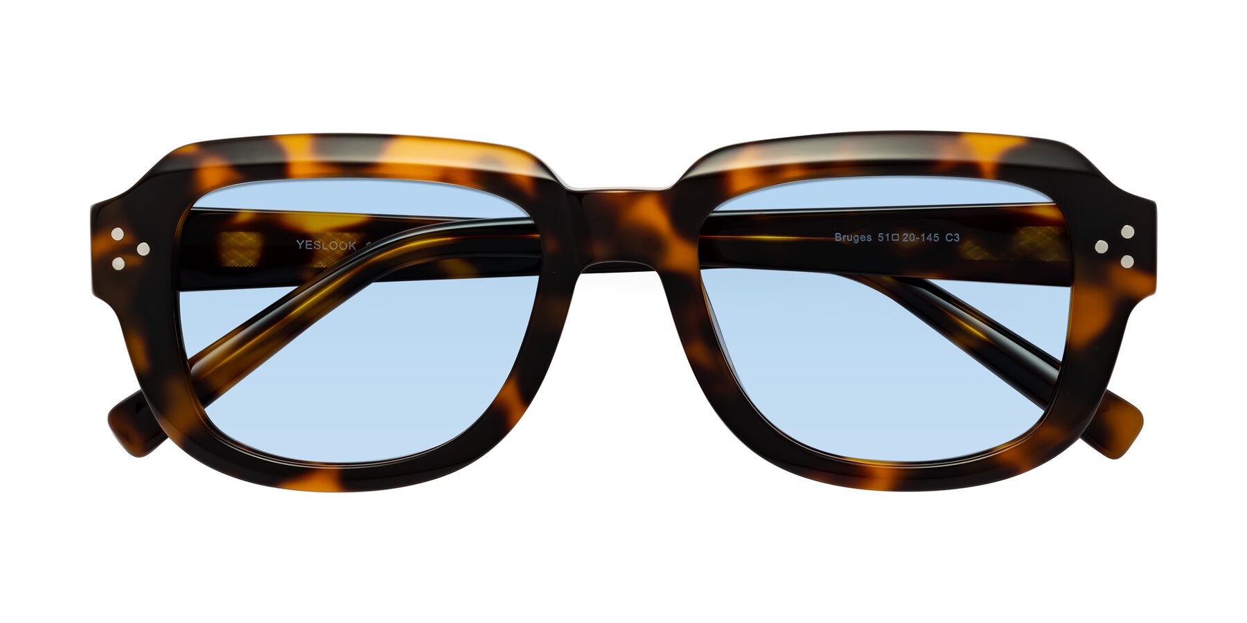 Folded Front of Bruges in Tortoise with Light Blue Tinted Lenses