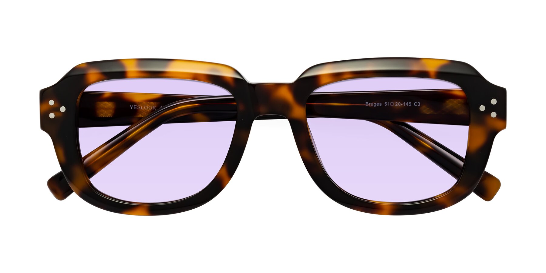 Folded Front of Bruges in Tortoise with Light Purple Tinted Lenses