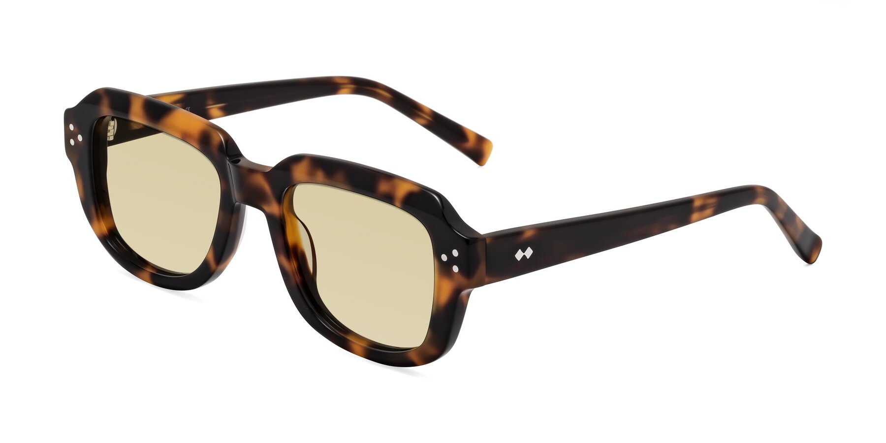 Angle of Bruges in Tortoise with Light Champagne Tinted Lenses