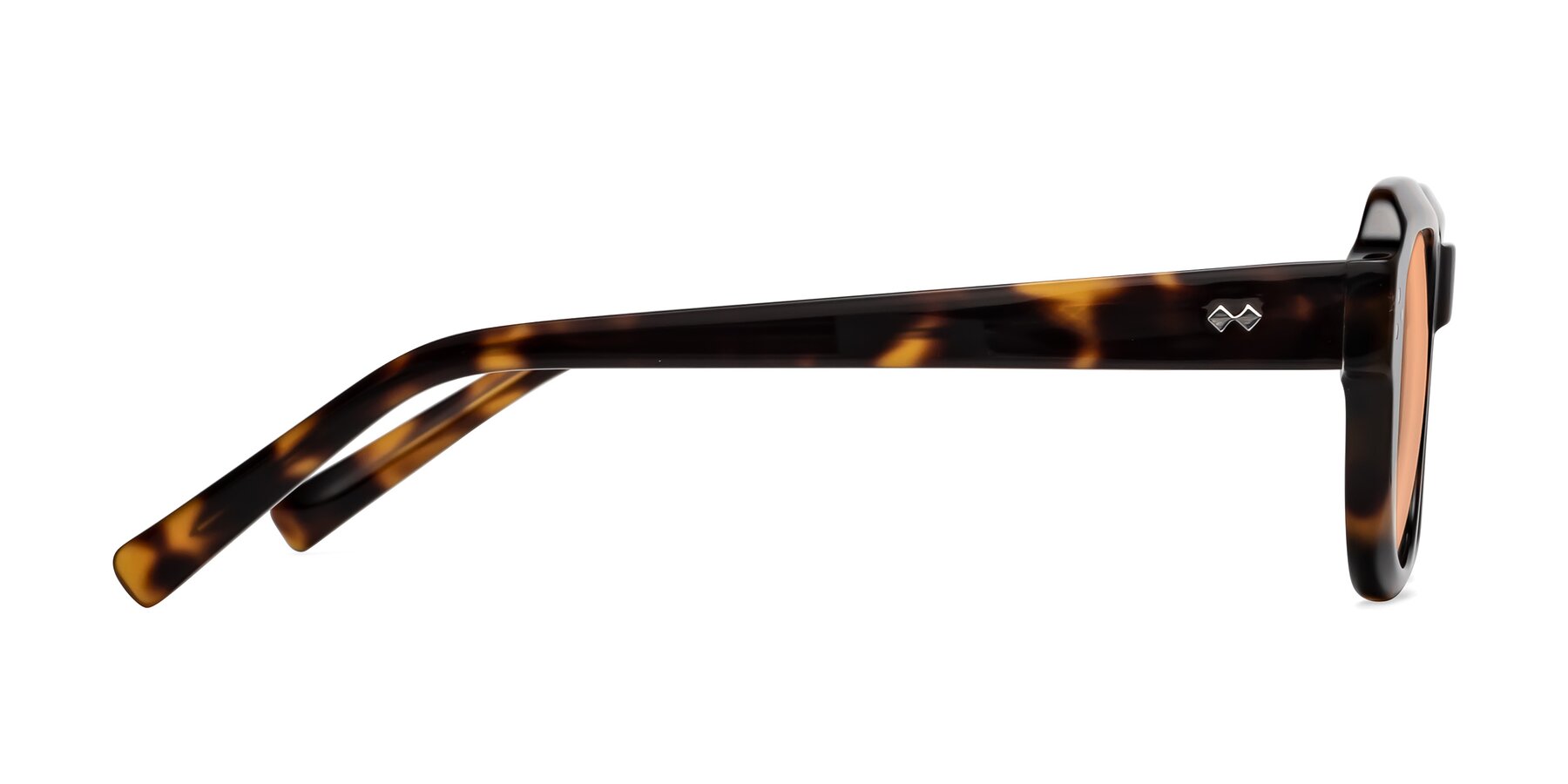 Side of Bruges in Tortoise with Light Orange Tinted Lenses