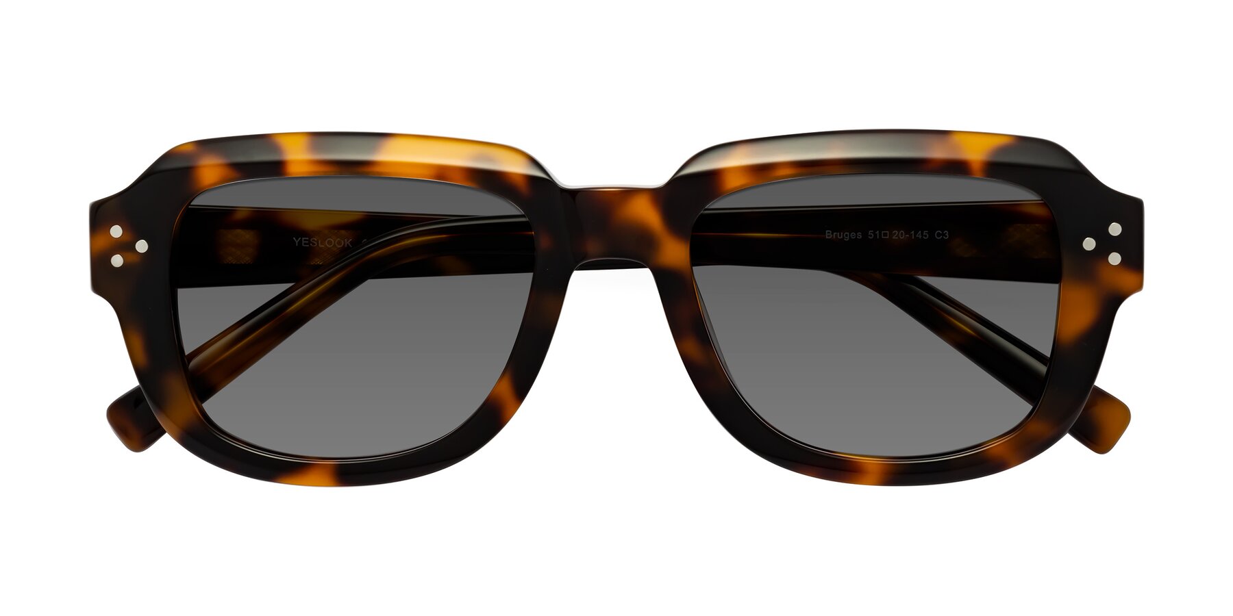 Folded Front of Bruges in Tortoise with Medium Gray Tinted Lenses
